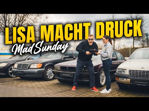 Jetzt reicht es! Alles muss raus! Lisa macht ernst und räumt den Platz! Von Mitarbeiter beklaut?