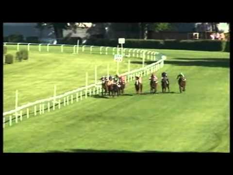 1st Alfkona -  Cena MPSR 2014 (Gd-3, 1 200 m)