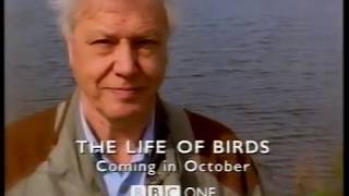 BBC Trailer - The Life of Birds (Sept 1998)