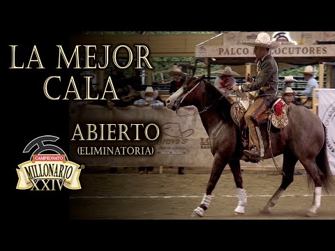 Mejor CALA DE CABALLO - ABIERTO Fase Eliminatoria - Cuco Raya Campeonato Millonario 2021 THV
