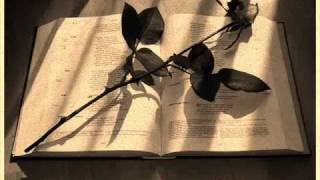 Evanescence - So Close ( Tradução e Lyrics )