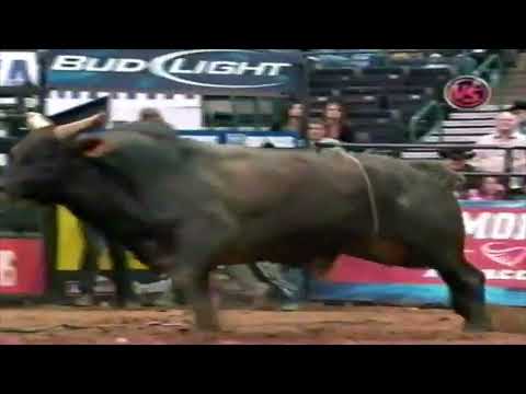 Copperhead Slinger bucks Kasey Hayes - 06 PBR Challenger Finals