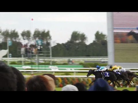 第21回秋華賞2016/ヴィブロス　レース現地動画(2016.10.16)