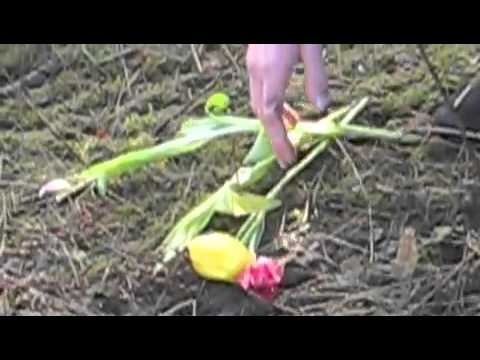 Video thumbnail for LYCKA?