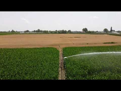DJI MAVIC MINI - IRRIGAZIONE MAIS -