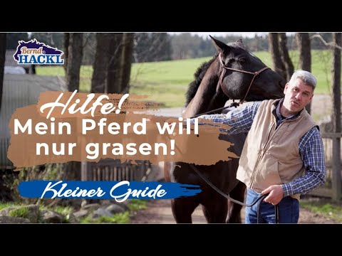 Horse training: Preventing grazing | Bernd Hackl Horsemanship