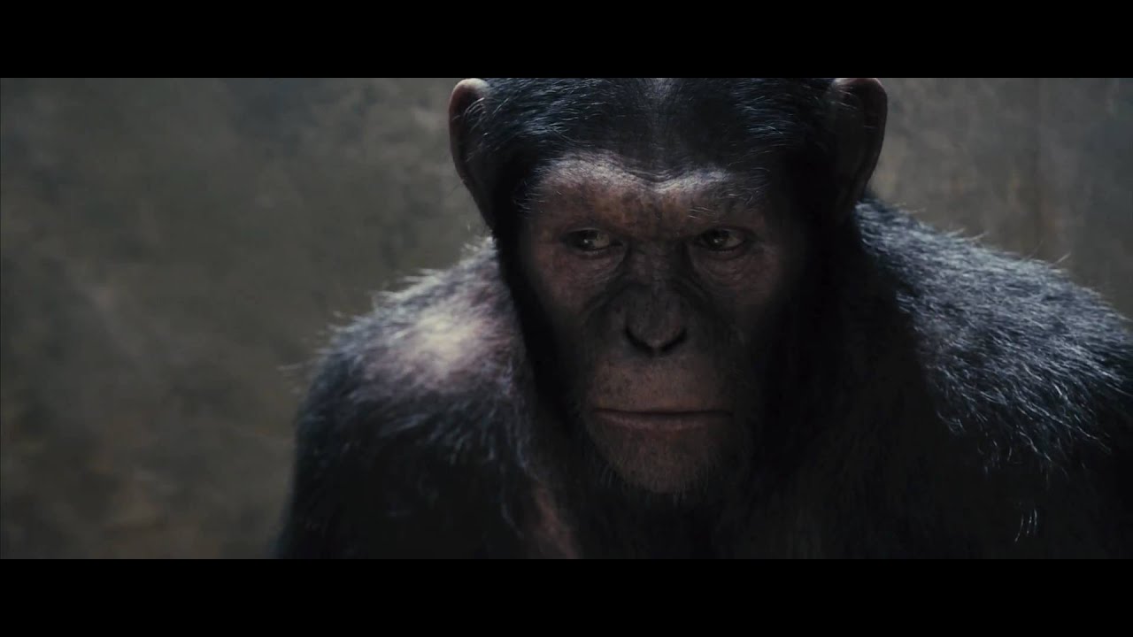 OFFICIAL First Look at APES from Weta - YouTube