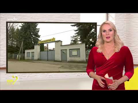 Einbruch SV Allstedt Rollhockey im Dezember 2020