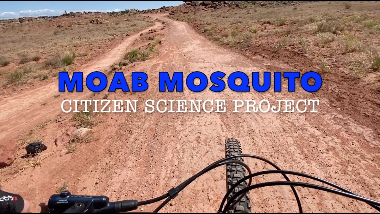 Moab Mosquito Outreach and Citizen Science Project