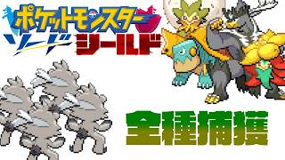 ポケモン全917匹集めるまで終われない旅 Part12【剣盾】
