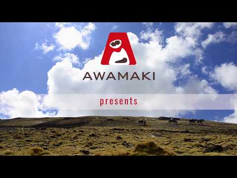 Capacity-building for rural women artisans in Peru