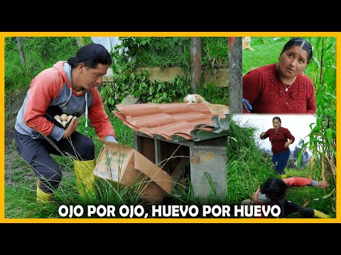 Ojo por ojo, huevo por huevo | Don Lucho