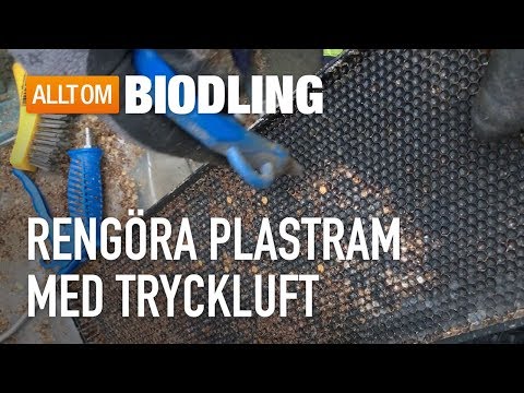 Rengöra plastramar med tryckluft - Biodling
