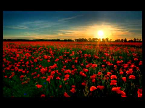 Seadomoni Kei Namualevu _ Vei logani rosi (Lyrics)