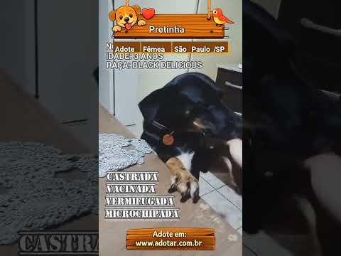 Vídeo de Pretinha 
