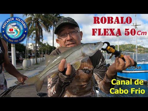 ROBALO FLEXA de 50cm!! Pescaria no Canal de Cabo frio com os sistemas Jig head e Down Shot!!!