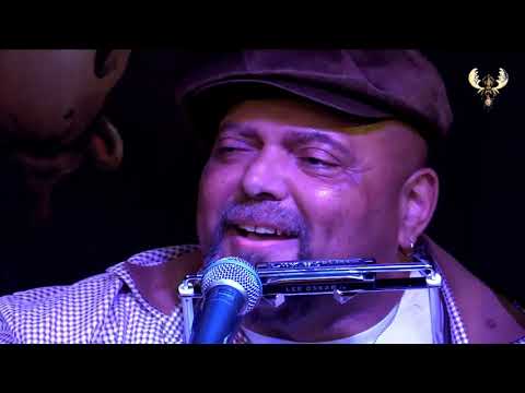 Kevin Burt - The Jägermeister song - Live for bluesmoose radio