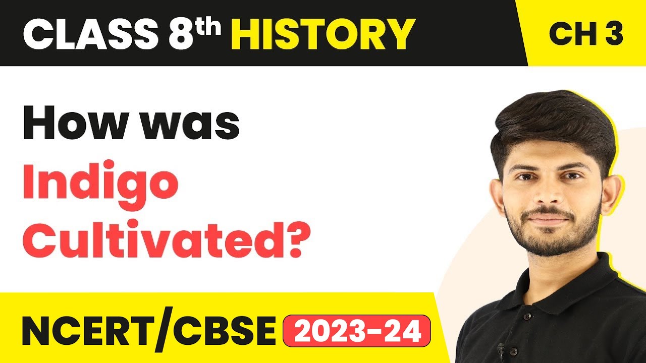 How was Indigo Cultivated? - Ruling the Countryside | Class 8 History