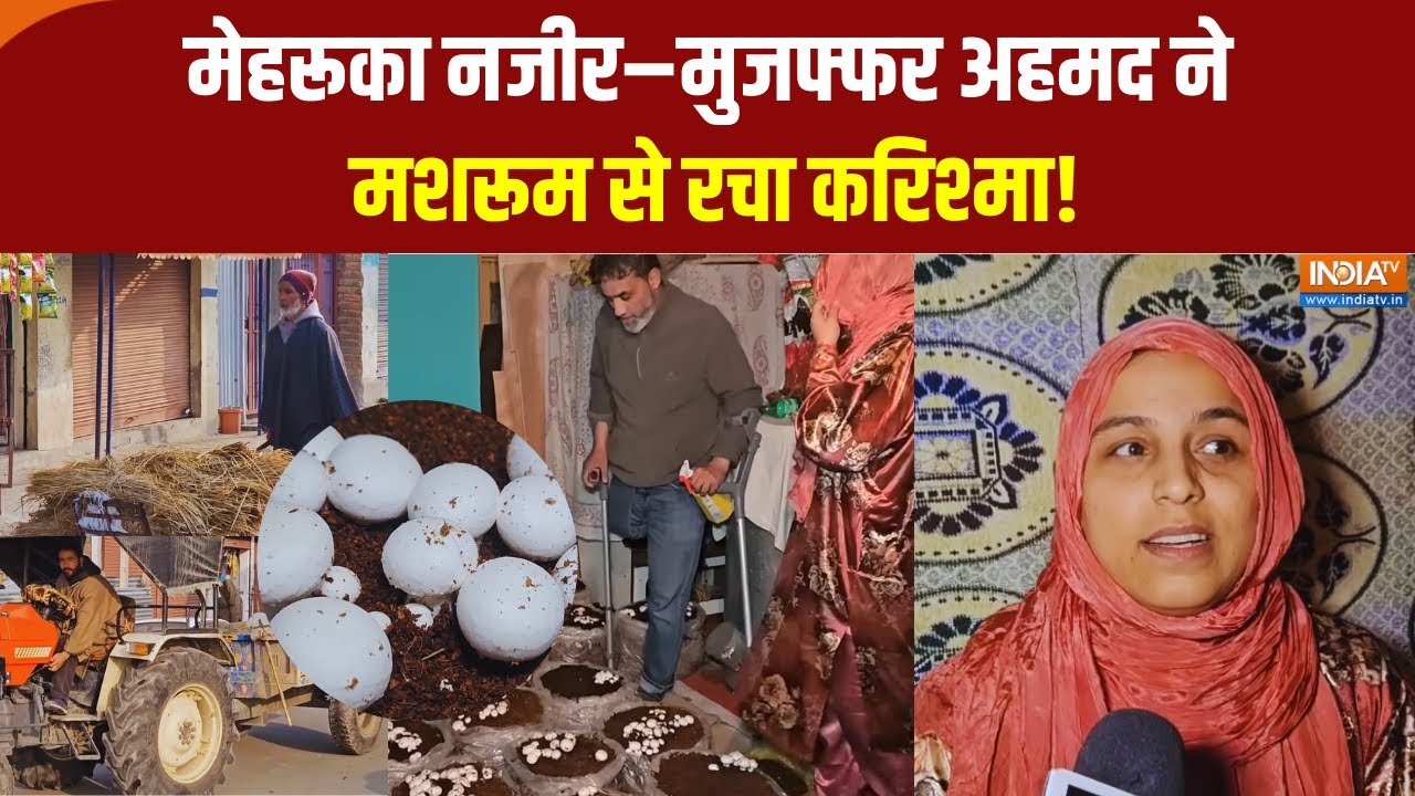 Jammu Kashmir : मेहरूका नजीर–मुजफ्फर अहमद ने मशरूम से रचा करिश