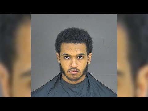 Man pleads guilty to Halifax Co. murders