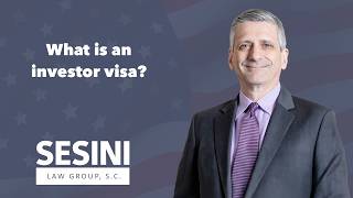 What is an investor visa?