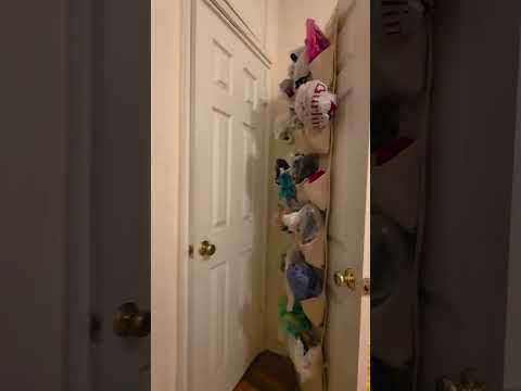 video 1