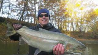 preview picture of video 'Fall 2011 Steelhead Fishing'