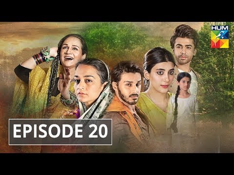 Udaari Episode 20 HUM TV Drama