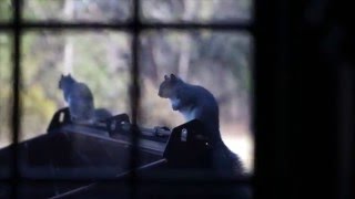 slip through the cracks