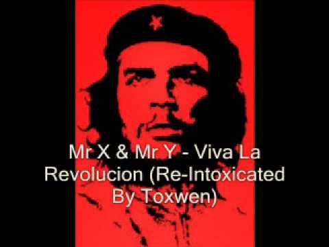 Mr X & Mr Y - Viva La Revolucion (Re-Intoxicated By Toxwen)
