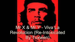 Mr X & Mr Y - Viva La Revolucion (Re-Intoxicated By Toxwen)