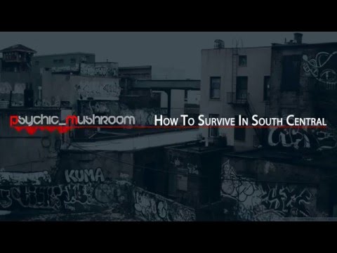 Video thumbnail for How To Survive In South Central