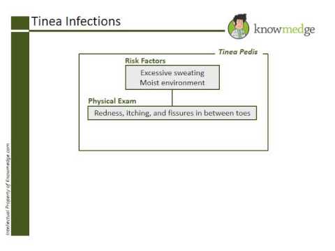 Internal Medicine ABIM Board Exam Review Question: Gingival Hyperplasia
