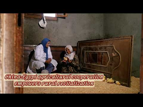 China-Egypt agricultural cooperation empowers rural women