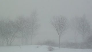 preview picture of video 'Blizzard in Atlantic Canada (Wedgeport NS) - Jan 3, 2014 - 11:30 AM'