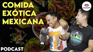 COMIDA EXÓTICA MEXICANA