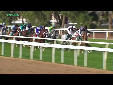 WATHBA STALLIONS CUP (FOR PRIVATE OWNERS) - ABU DHABI EQUESTRIAN CLUB | 02/02/2023