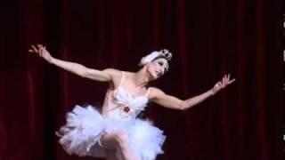 My Favorite version of the Dying Swan