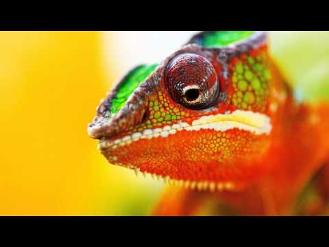 ELECTRO HOUSE CHARTS MIX APRIL 2011 [HD] [EXCELLENT]