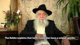 החליפה הבלתי ניתנת להשמדה פרש דבורים שבת חזון מאת ר' יועאל חן 5774