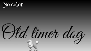old timer dog!!!