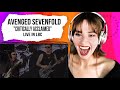 Aveneged Sevenfold - 