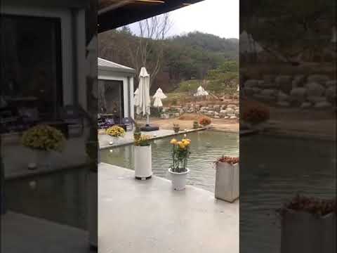 분당 도넛드로잉🍩 (#도넛맛집 #분당디저트맛집 #디저트맛집 #카페투어 #donuts)