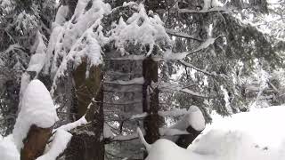 Beskid Mały 05.02.2022