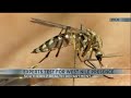 Southern 7 Health Department test for West Nile virus