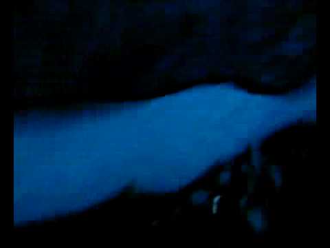 ambri-davos 22.11.08