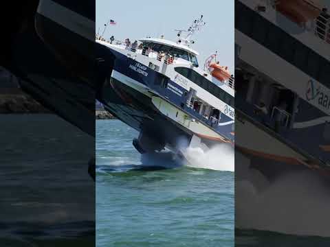 Would You Ride This Flying Ferry? 🛥️