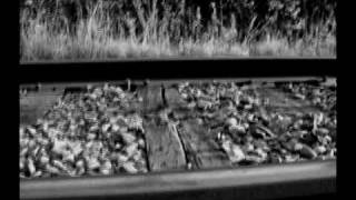 Run - Benton Paul (Full song + Lyrics)