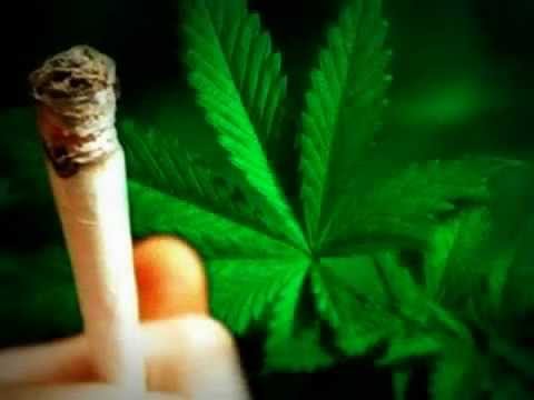 tapi tebrex comi  (mama riva).