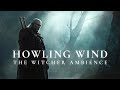 Howling Wind The Witcher Ambience Orchestral Ambient Music For Deep Focus And Relaxation